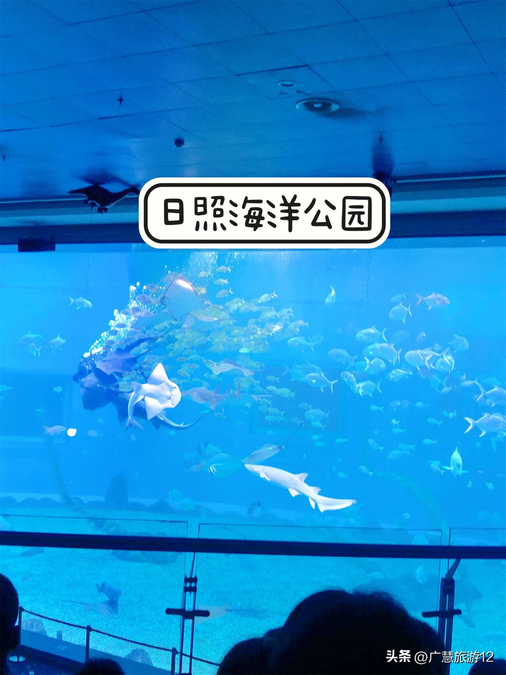 日照市旅游攻略_日照旅游勝地_日照市旅游路線