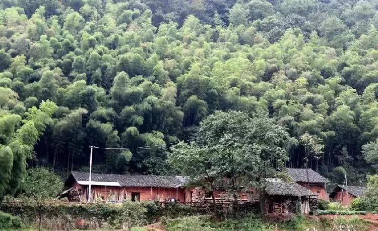 重慶白沙古鎮(zhèn)旅游攻略_白沙古鎮(zhèn)網(wǎng)紅打卡地_重慶白沙古鎮(zhèn)