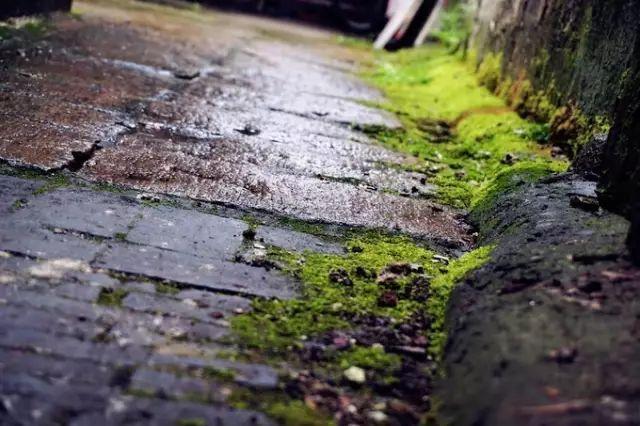 錦溪古鎮門票價格_古鎮錦溪在哪里_錦溪古鎮旅游攻略