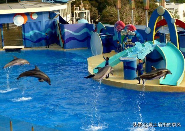 三亞親子旅游景點_三亞親子游攻略_親子游去三亞必去景點