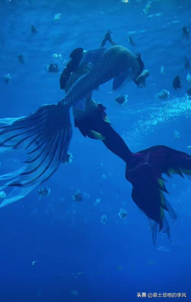 親子游去三亞必去景點_三亞親子旅游景點_三亞親子游攻略