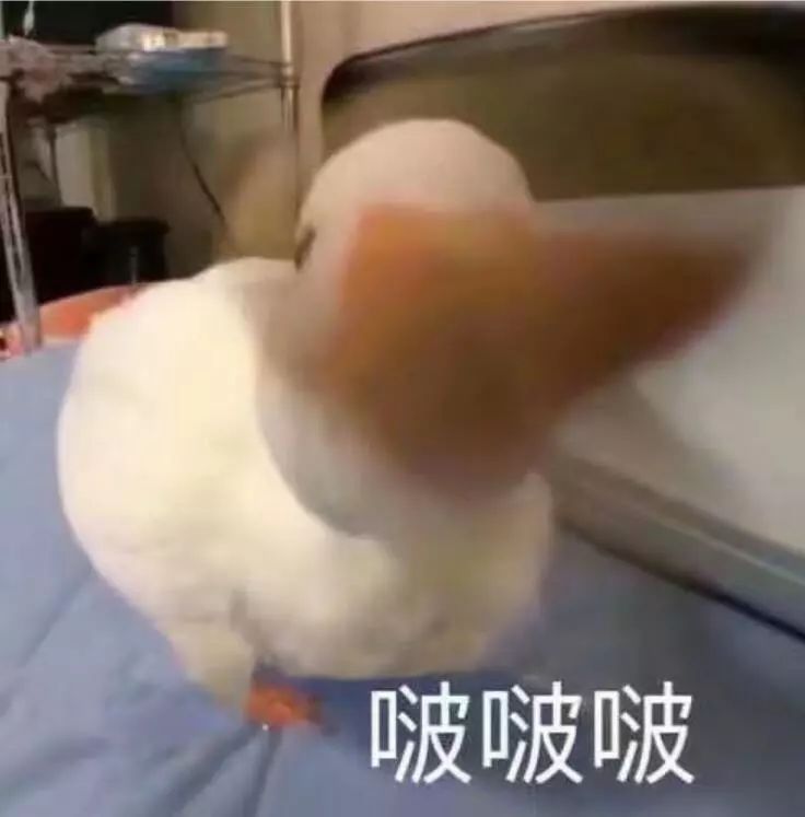 武漢長江大橋怎么玩兒_武漢長江大橋景點怎么游_武漢長江大橋游玩攻略