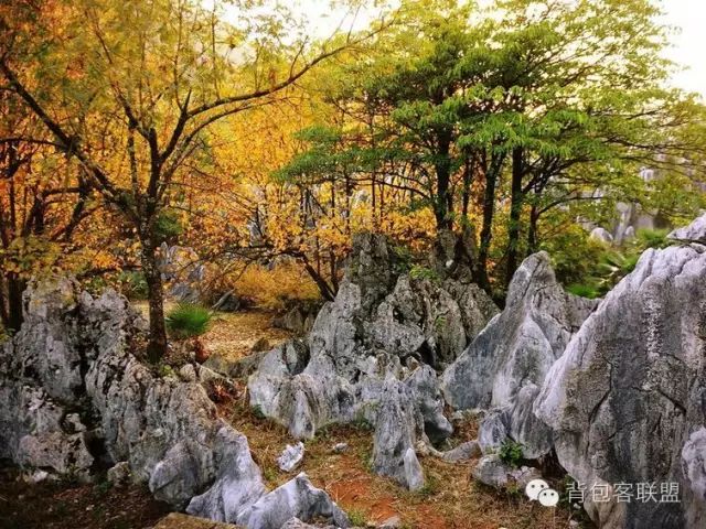 汾湖好玩的_汾湖周邊旅游景點(diǎn)_汾湖風(fēng)景區(qū)游玩攻略