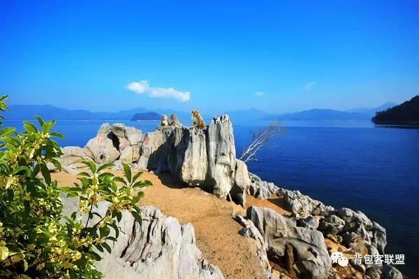 汾湖好玩的_汾湖周邊旅游景點(diǎn)_汾湖風(fēng)景區(qū)游玩攻略