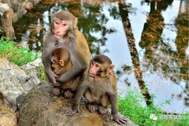 汾湖周邊旅游景點(diǎn)_汾湖風(fēng)景區(qū)游玩攻略_汾湖好玩的