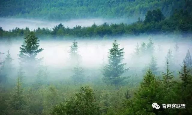 汾湖周邊旅游景點(diǎn)_汾湖好玩的_汾湖風(fēng)景區(qū)游玩攻略