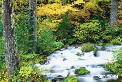 汾湖好玩的_汾湖風(fēng)景區(qū)游玩攻略_汾湖周邊旅游景點(diǎn)