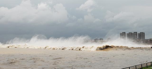 嘉興南湖旅游攻略_嘉興南湖旅游路線_嘉興南湖旅游攻略一日游