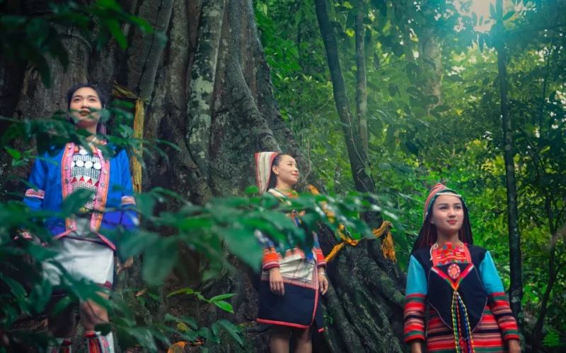 西雙版納游攻略_西雙版納攻略攻略_西雙版納游玩