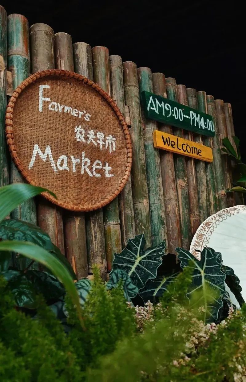 西雙版納攻略攻略_西雙版納游攻略_西雙版納游玩