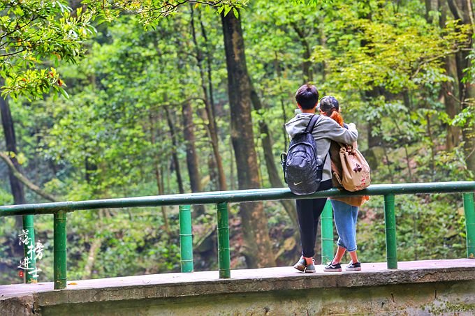 到張家界的旅游攻略_張家界攻略路線_張家界旅行路線