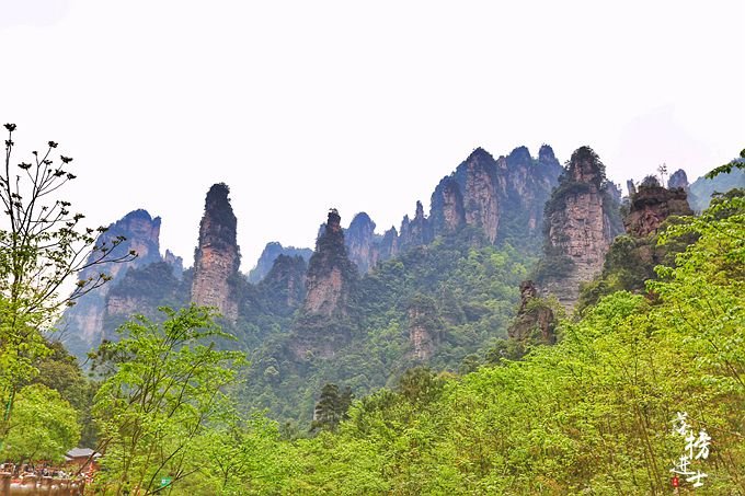 張家界攻略路線_張家界旅行路線_到張家界的旅游攻略