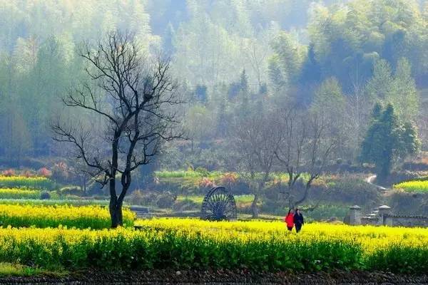 藍田玉山景點有哪些好玩的_藍田玉山網紅打卡景點_藍田玉山風景區自駕游攻略