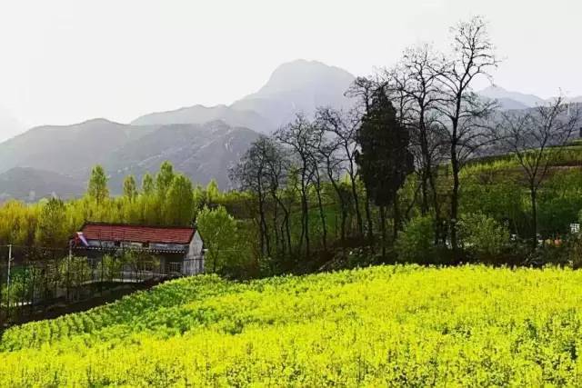藍田玉山景點有哪些好玩的_藍田玉山風景區自駕游攻略_藍田玉山網紅打卡景點