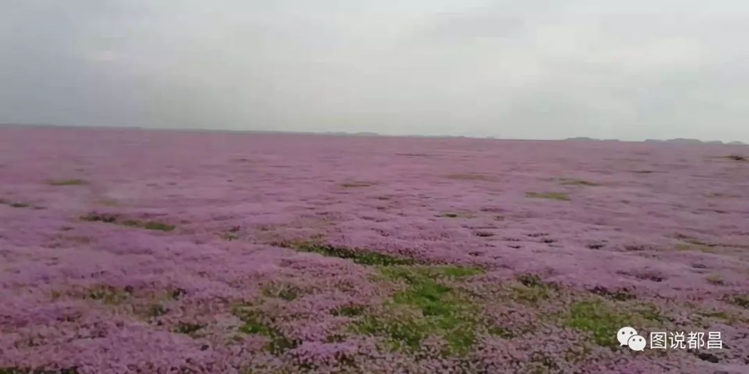 昌化旅游攻略_都昌旅游攻略_昌北附近旅游
