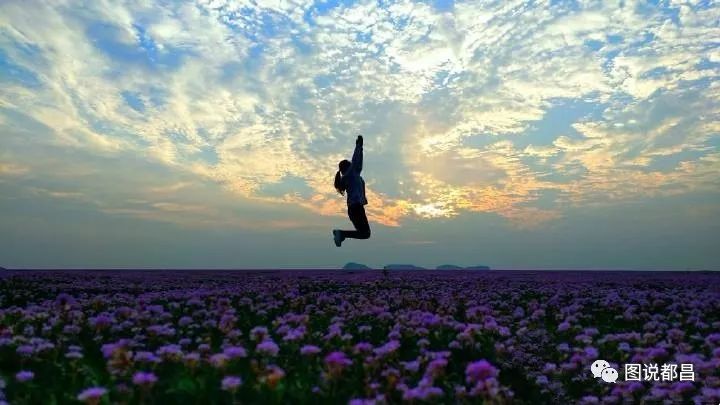 昌北附近旅游_都昌旅游攻略_昌化旅游攻略