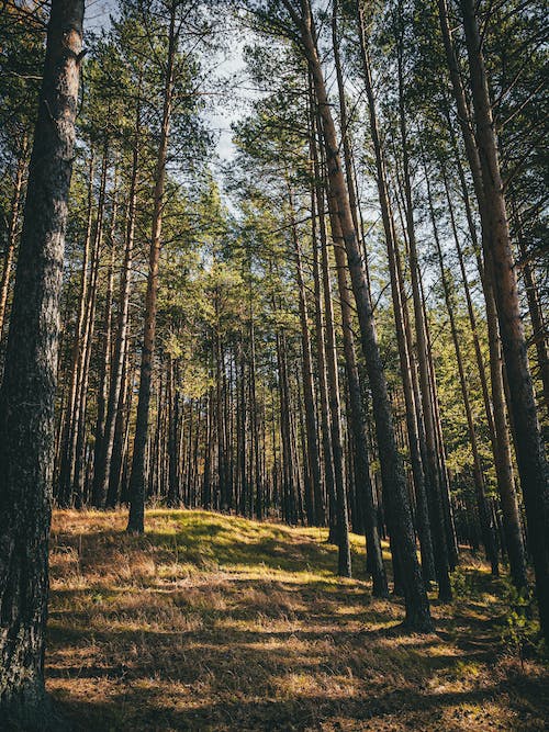 嶗山風景仰口風景區_嶗山仰口風景區游覽圖_嶗山風景區仰口一日游攻略