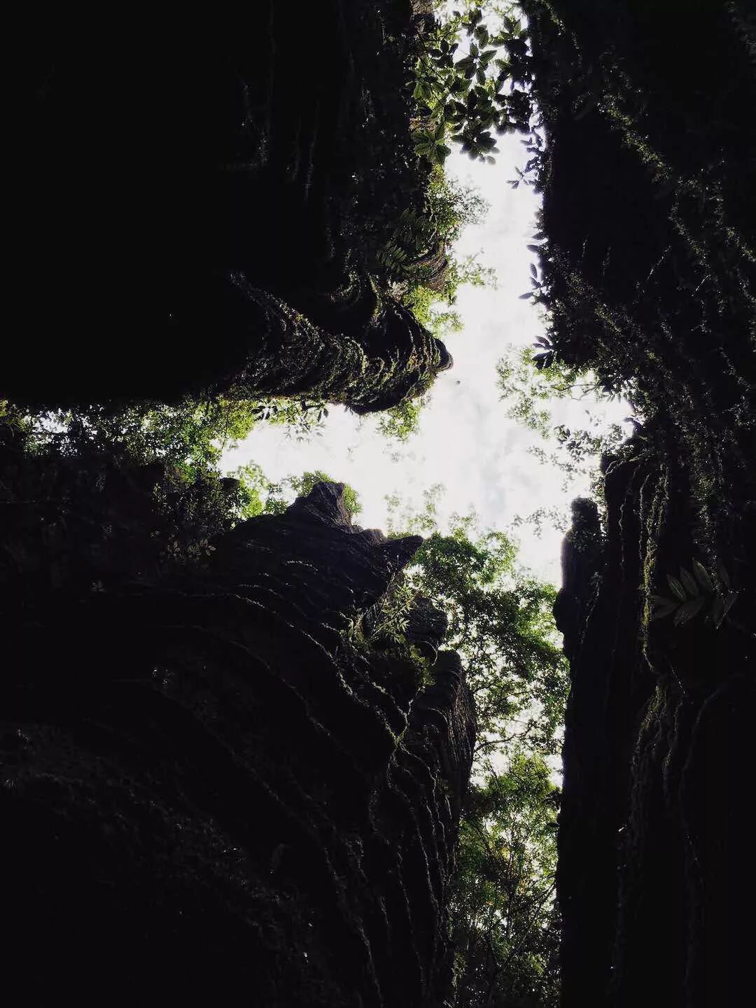 武漢恩施景點_武漢恩施有什么好玩的_武漢恩施旅游攻略