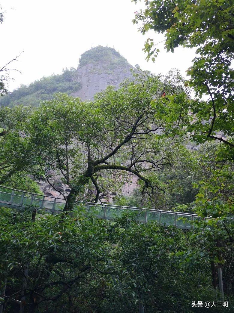 大金湖旅游攻略_月經期可以掛參麥嗎_2014杭州百強企業