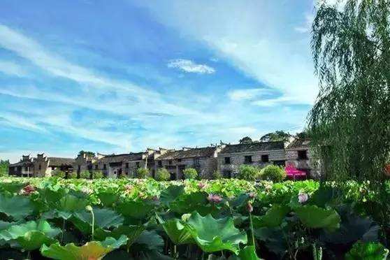 黃草鎮(zhèn)景點(diǎn)攻略_去黃草鎮(zhèn)哪里住宿好_東江湖黃草鎮(zhèn)旅游攻略