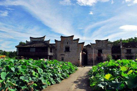 東江湖黃草鎮(zhèn)旅游攻略_黃草鎮(zhèn)景點(diǎn)攻略_去黃草鎮(zhèn)哪里住宿好