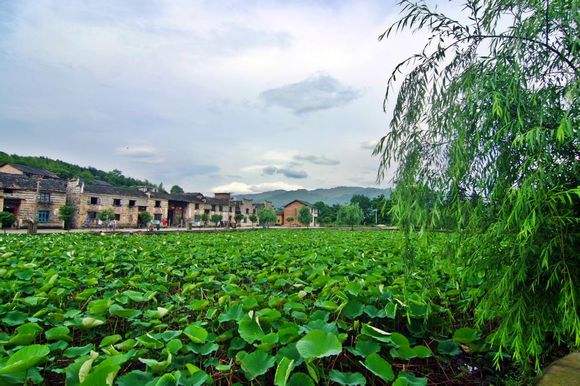 去黃草鎮(zhèn)哪里住宿好_黃草鎮(zhèn)景點(diǎn)攻略_東江湖黃草鎮(zhèn)旅游攻略
