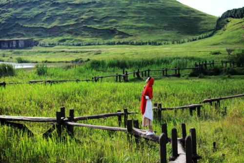 黃草鎮(zhèn)景點(diǎn)攻略_去黃草鎮(zhèn)哪里住宿好_東江湖黃草鎮(zhèn)旅游攻略