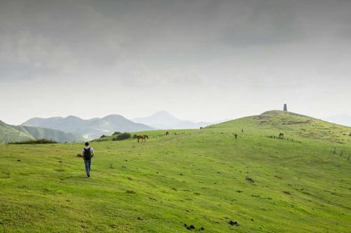 黃草鎮(zhèn)景點(diǎn)攻略_東江湖黃草鎮(zhèn)旅游攻略_去黃草鎮(zhèn)哪里住宿好