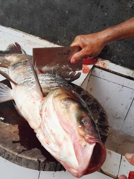 黃草鎮(zhèn)景點(diǎn)攻略_去黃草鎮(zhèn)哪里住宿好_東江湖黃草鎮(zhèn)旅游攻略