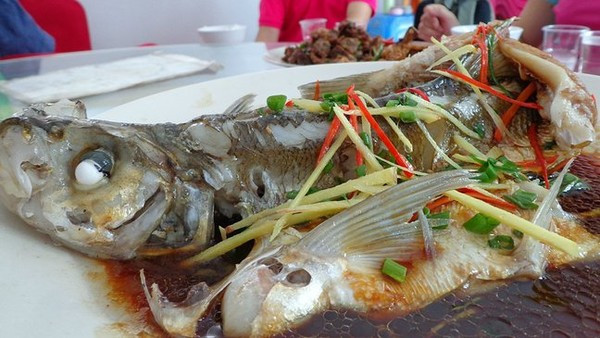 去黃草鎮(zhèn)哪里住宿好_黃草鎮(zhèn)景點(diǎn)攻略_東江湖黃草鎮(zhèn)旅游攻略