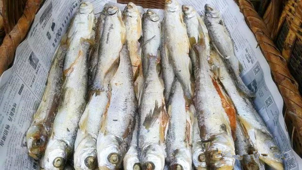 黃草鎮(zhèn)景點(diǎn)攻略_東江湖黃草鎮(zhèn)旅游攻略_去黃草鎮(zhèn)哪里住宿好