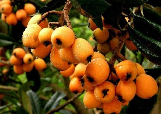 去黃草鎮(zhèn)哪里住宿好_東江湖黃草鎮(zhèn)旅游攻略_黃草鎮(zhèn)景點(diǎn)攻略