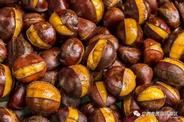 隆安龍虎山門票多少錢_隆安龍虎山風景區旅游攻略_龍虎山隆安