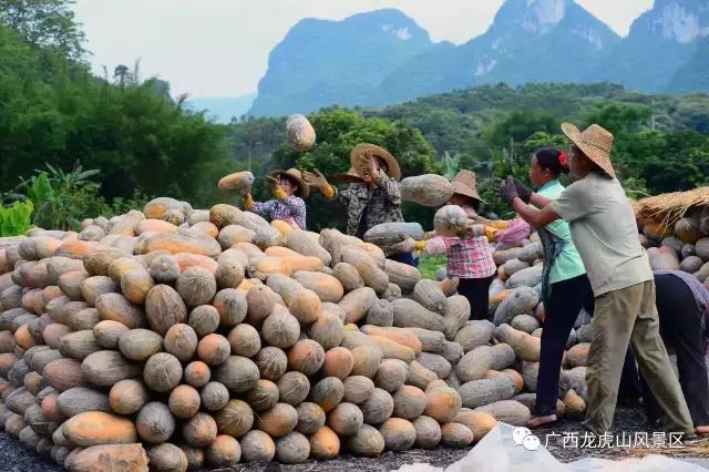 隆安龍虎山門票多少錢_龍虎山隆安_隆安龍虎山風景區旅游攻略