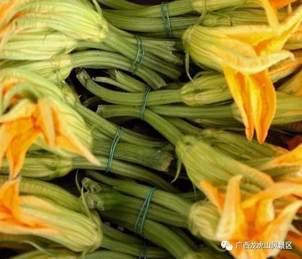 隆安龍虎山風景區旅游攻略_龍虎山隆安_隆安龍虎山門票多少錢