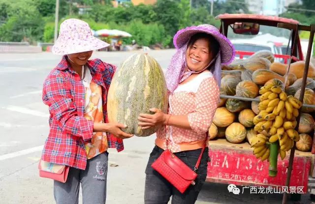 隆安龍虎山門票多少錢_隆安龍虎山風景區旅游攻略_龍虎山隆安