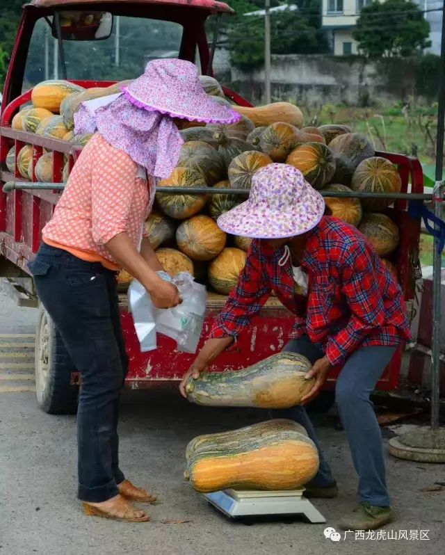 隆安龍虎山門票多少錢_龍虎山隆安_隆安龍虎山風景區旅游攻略