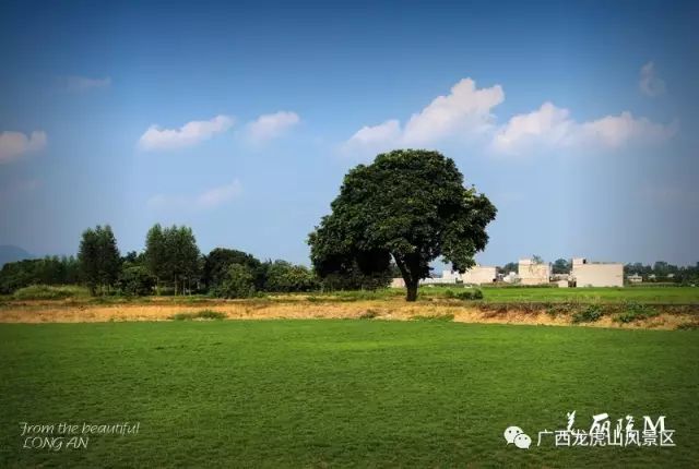 隆安龍虎山風景區旅游攻略_龍虎山隆安_隆安龍虎山門票多少錢