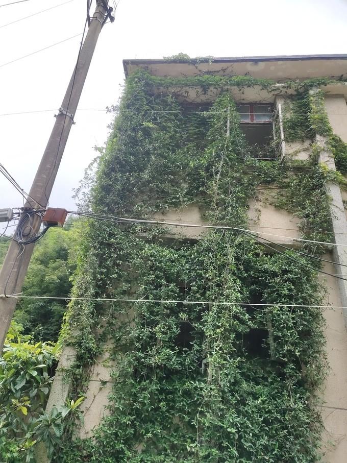 舟山攻略景區(qū)旅游風(fēng)景圖片_舟山風(fēng)景區(qū)旅游攻略_舟山景點(diǎn)推薦