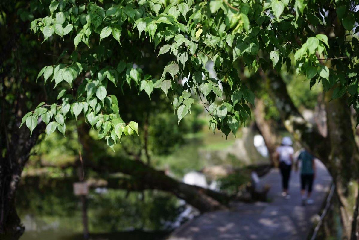 云南滇西旅游線路_滇西旅游攻略七天_云南滇西旅游攻略