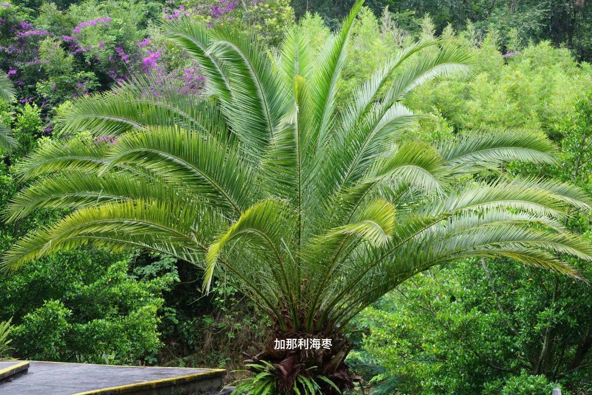 云南滇西旅游線路_滇西旅游攻略七天_云南滇西旅游攻略