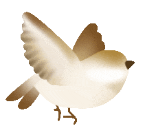 成都天臺山一日游_成都天臺山游記_成都天臺山一日游攻略