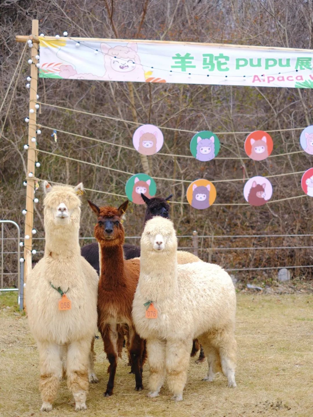 攻略南京旅游慢城的路線_南京漫城旅游攻略_南京慢城旅游攻略