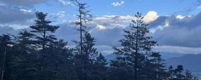 大理旅游洱海攻略_大理洱海住宿攻略_大理洱海邊住宿推薦