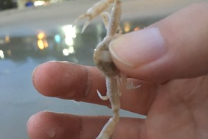 曼谷旅游攻略網_攻略曼谷自由行路線_曼谷自由行攻略