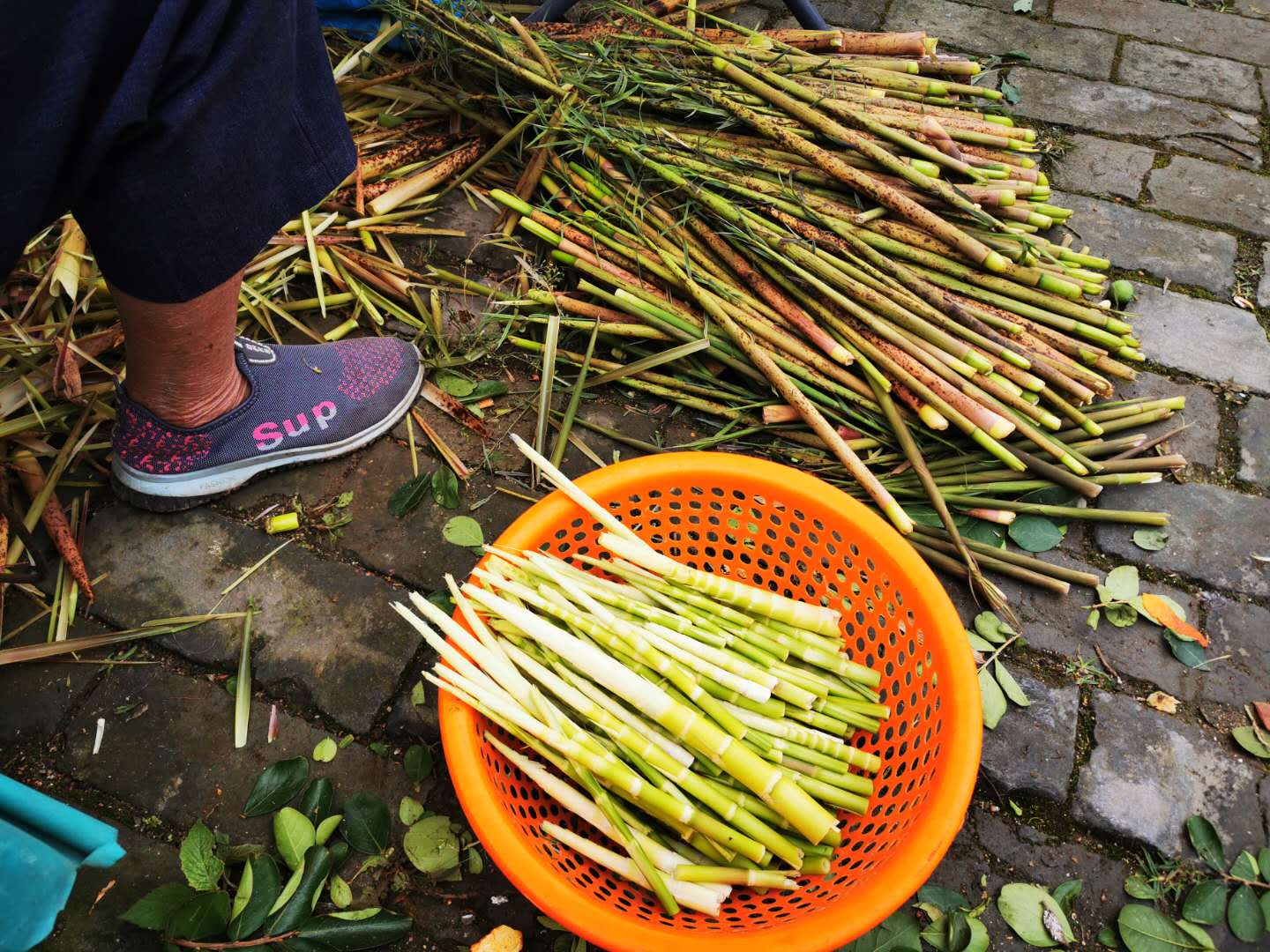 潮州溪美村旅游攻略_潮卅溪美村景點_潮州溪美有什么玩