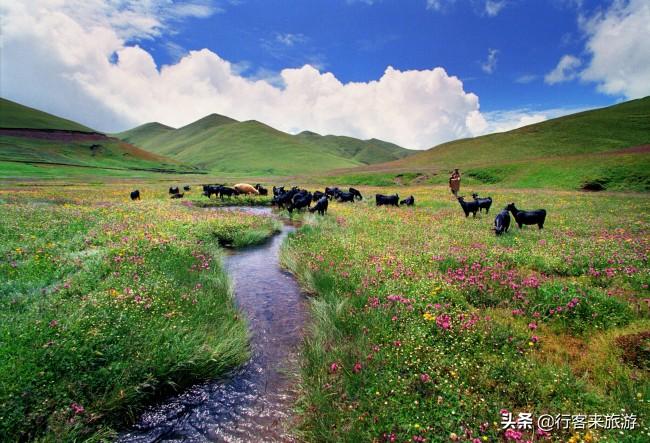 會澤旅游攻略 自駕游_會澤自駕兩日游_會澤游玩攻略
