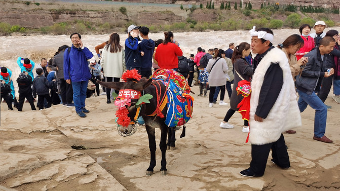自駕上海攻略旅游路線_上海自駕去處_上海自駕旅游攻略