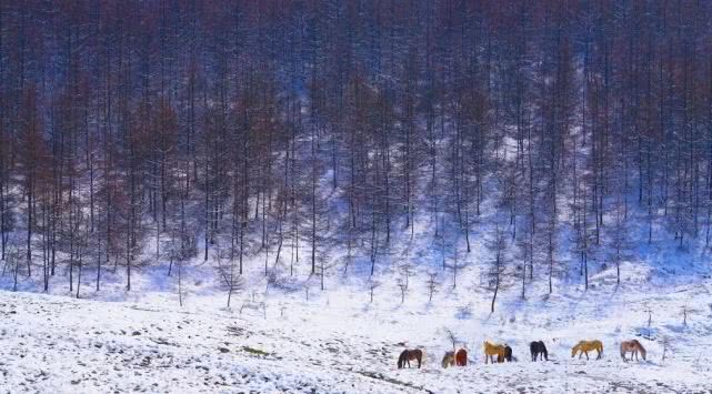 石柱旅游攻略_石柱旅游景點攻略_攻略石柱旅游路線