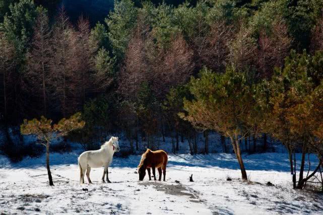 石柱旅游景點攻略_攻略石柱旅游路線_石柱旅游攻略